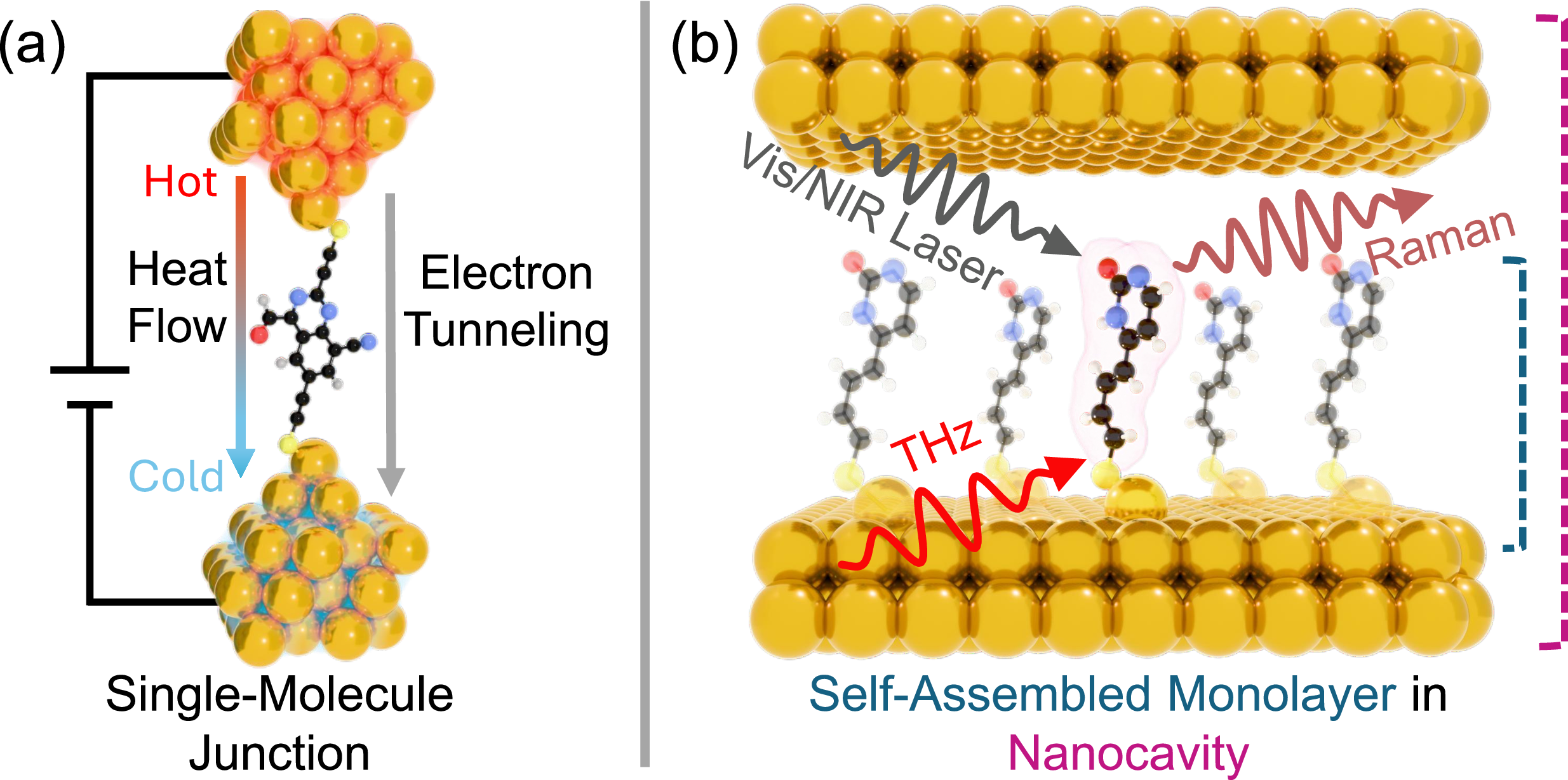 Molecular systems of the NMO benchmark